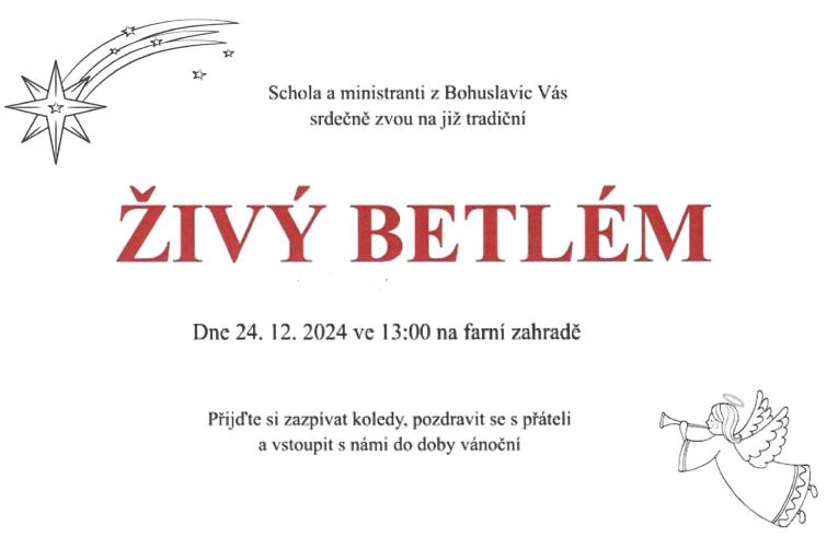 ž
